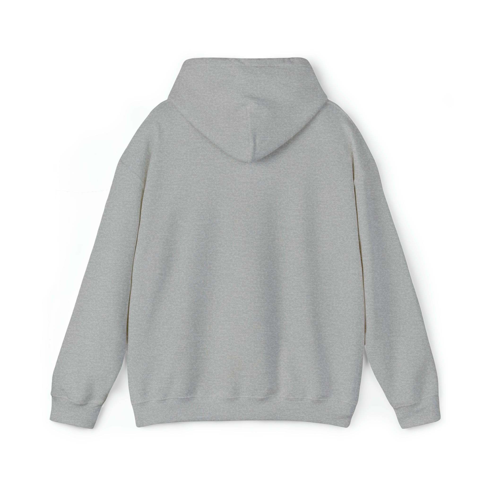 Whiskey Your horse is the reason I drink Hooded Sweatshirt