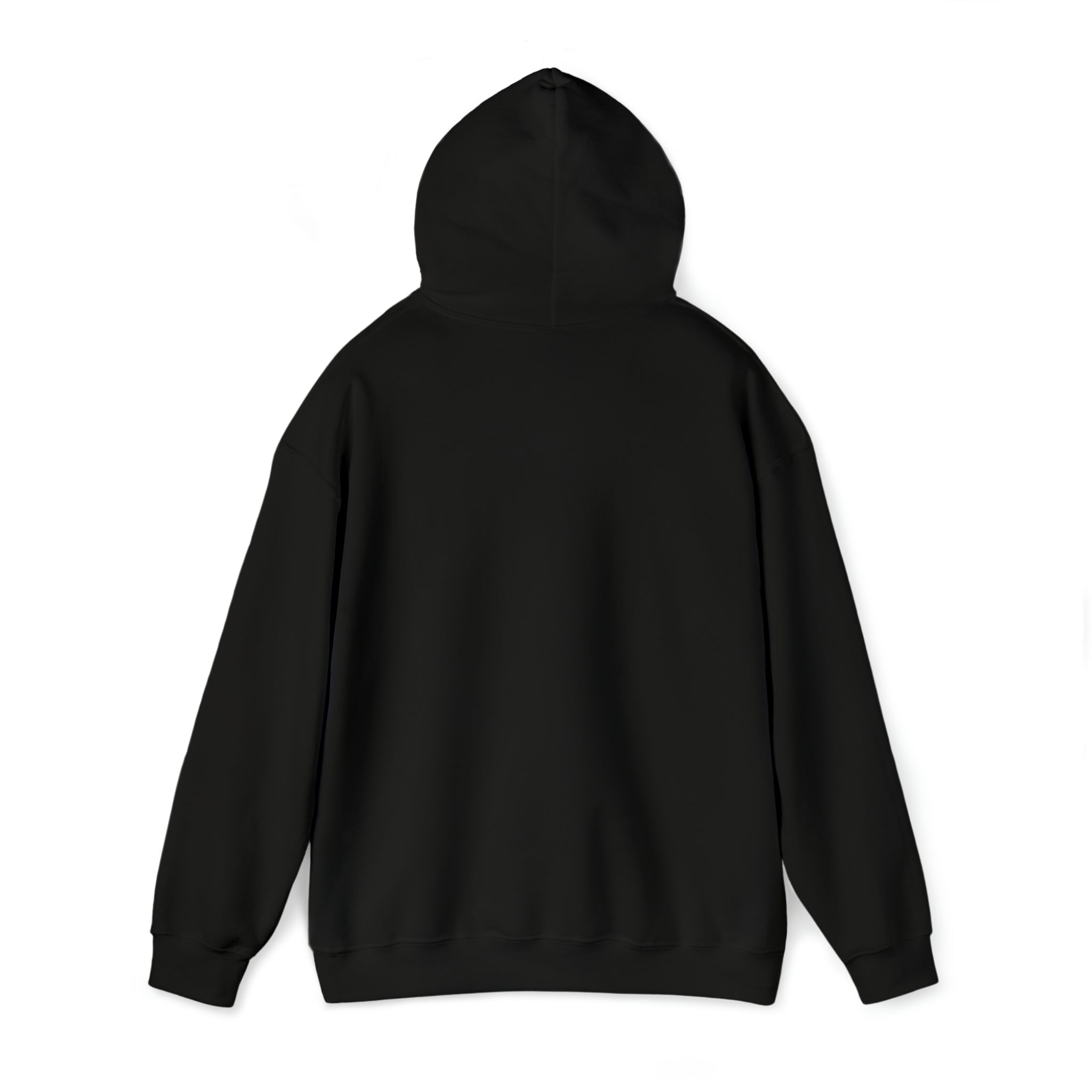 Whiskey Your horse is the reason I drink Hooded Sweatshirt