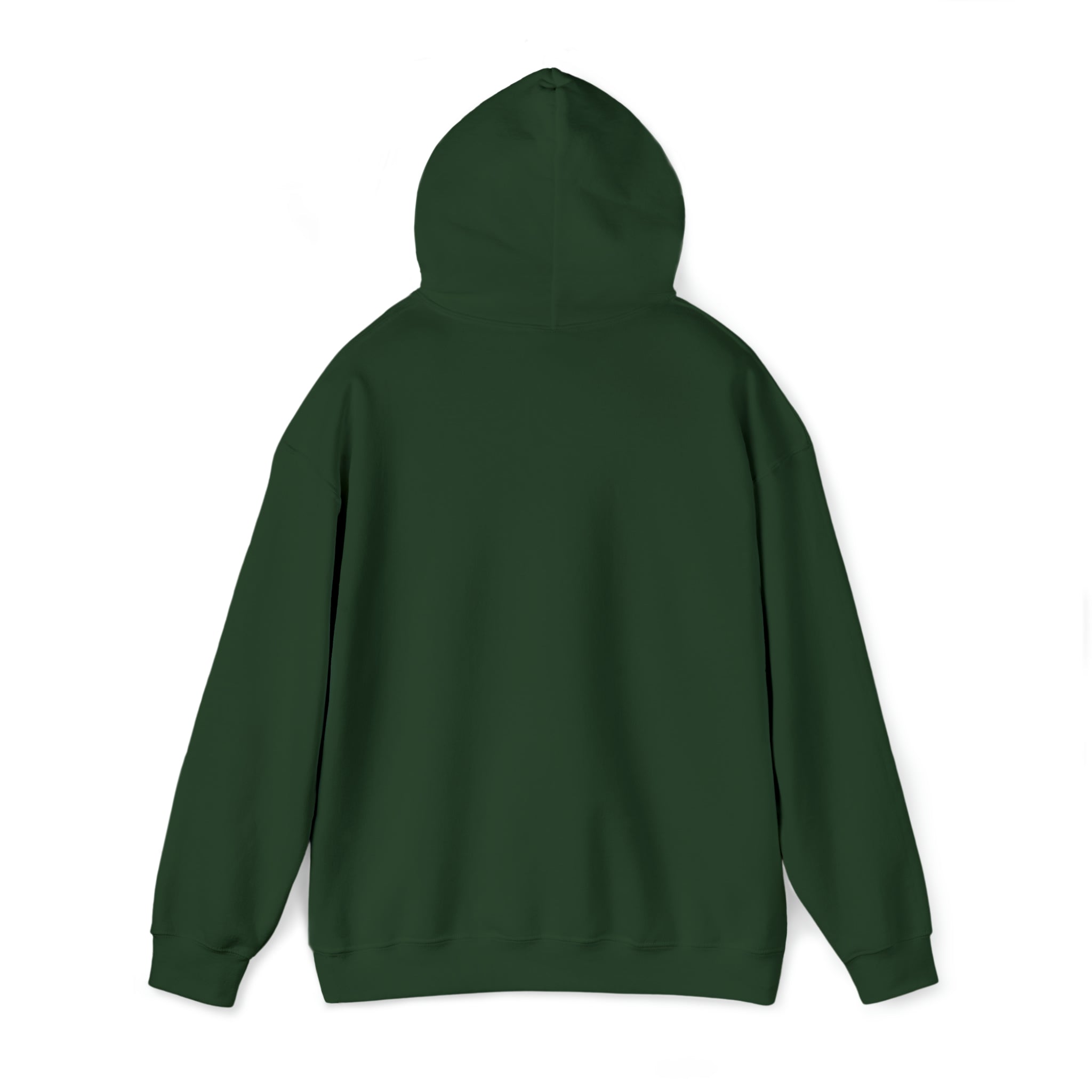 Whiskey Your horse is the reason I drink Hooded Sweatshirt