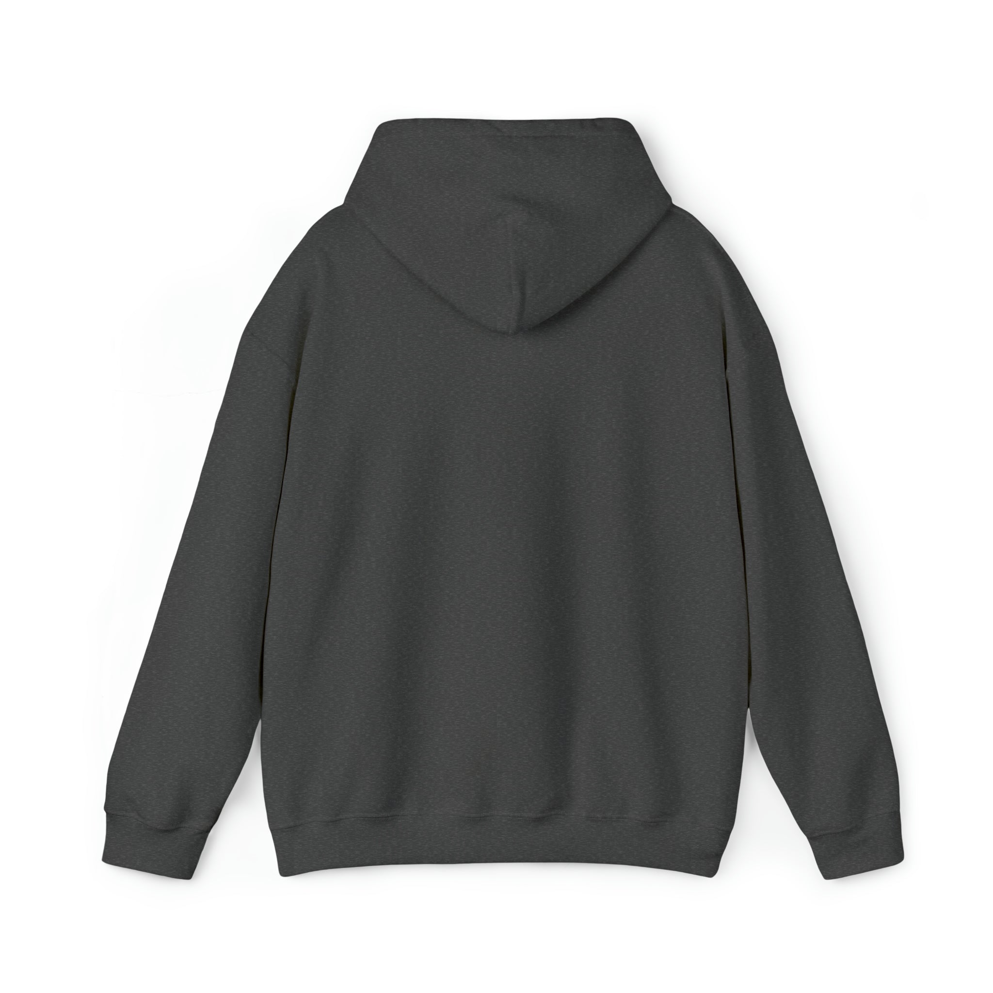 Whiskey Your horse is the reason I drink Hooded Sweatshirt