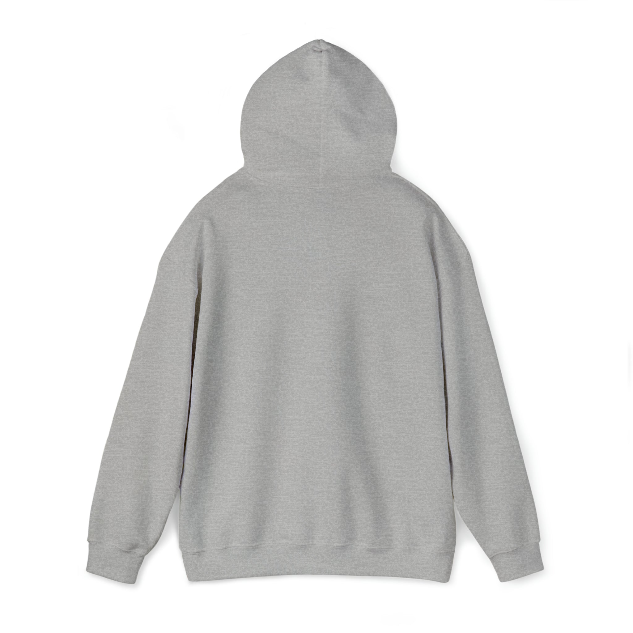 Whiskey Your horse is the reason I drink Hooded Sweatshirt
